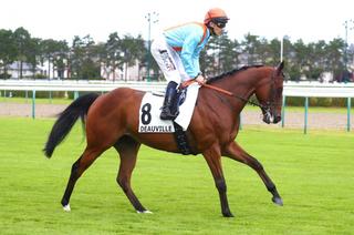 Quinté+ du samedi 9 août à Deauville : Olympic Message, à la conquête de l'or