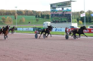 Arrivée et rapports du Quinté+ du samedi 1er novembre : Harley Gema renoue avec le succès à domicile