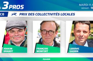 3 pros analysent leurs chances dans le Quinté+ de ce mardi 12 août à Deauville