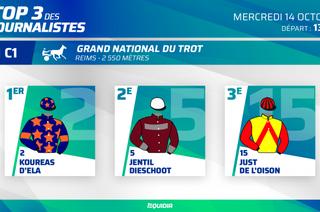 Le Top 3 des journalistes d'Equidia pour la 11e étape du Grand National du Trot