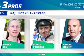 3 pros analysent leurs chances dans le Quinté+ de ce dimanche 25 octobre