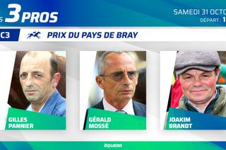 3 pros analysent leurs chances dans le Quinté+ de ce samedi 31 octobre