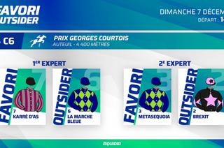 Favori/Outsider : Qui jouer dans le Prix Georges Courtois (Gr.2) ce dimanche à Auteuil ?