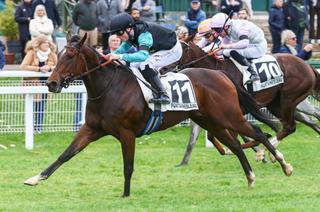 Track Test Quinté+ du mardi 14 avril à Chantilly : Alparslan, sacré sprinteur !