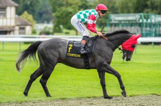 Apogeo, l’outsider séduisant du Quinté+ de ce lundi 27 avril