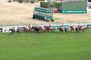Quinté+ du mardi 4 août : Analyse et décryptage de la course de réf