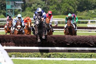 Le Quinté+ du samedi 7 mars vu par les statistiques