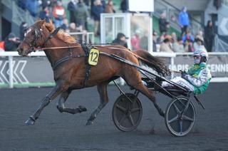 Ialto d'Hertals, la base solide du Quinté+ de ce mercredi 22 avril à Châteaubriant (GNT)