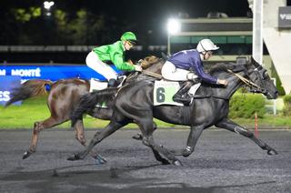Prix Edmond Henry (Gr II) : Liberté du Goutier en dernière assaillante !