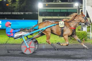 Arrivée et rapports du Quinté+ du vendredi 9 octobre à Vincennes : Indien de Fontaine pour une première à Vincennes !