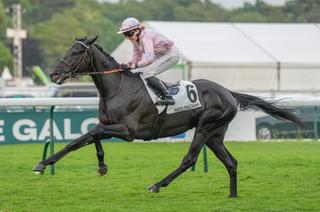 Quinté+ du jeudi 23 juillet à Vichy : Black Ultra effectue le déplacement avec de hautes ambitions