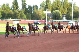 Le Quinté+ du vendredi 17 juillet à Cabourg vu par les statistiques