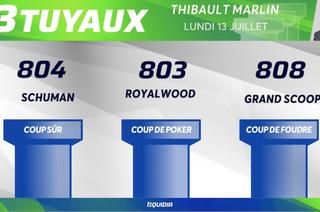 Les 3&nbsp;tuyaux du Quinté+ du lundi 13 juillet à Dieppe
