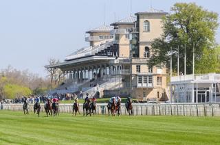 Le Quinté+ du mardi 14 avril vu par les statistiques