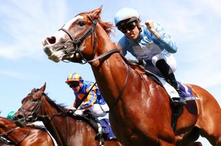 Prix Haras de Fresnay-le-Buffard - Prix Jean Prat - Christophe Soumillon : "Thesecretadversary est encore capable de progresser"