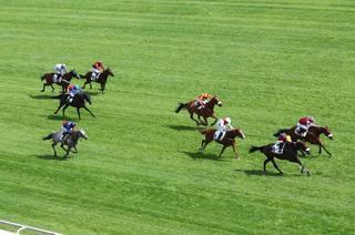 Quinté+ du samedi 26 septembre à Auteuil : Analyse et décryptage de la course de réf