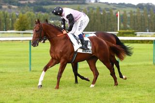 Dalakir, la base solide du Quinté+ du mardi 2 septembre à Saint-Cloud