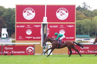 Qatar Prix Foy : Daryz nous donne rendez-vous le 4 octobre