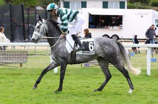 Track Test du jeudi 5 mars à Saint-Cloud : les "Plisson" Divine Chrisnat et Regalien tiennent le haut de l'affiche