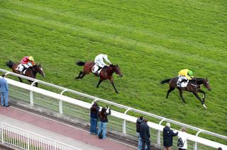 Prix de Pépinvast : Edamura se rachète totalement, Léopard du Berlais perd son invincibilité