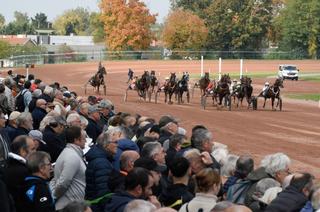 Quinté+ du mercredi 19 septembre à Feurs : Analyse et décryptage de la course de réf