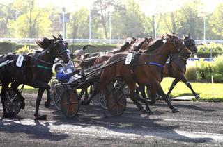 Quinté+ du vendredi 26 juin à Enghien : Florida Bi évolue en retard de gains
