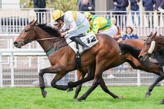 Arrivée et rapports du Quinté+ du lundi 13 avril : Gabison double la mise