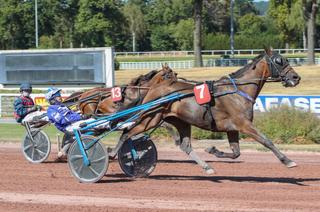 Quinté+ du vendredi 25 septembre à Vincennes : Gisaro fait face à un objectif