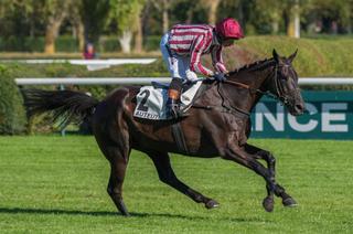 Prix Richard et Robert Hennessy : Goliath du Rheu en géant, Sel Jem seulement huitième pour sa rentrée