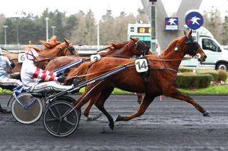 Hudo du Ruel, la base solide du Quinté+ de jeudi 21 novembre à Vincennes