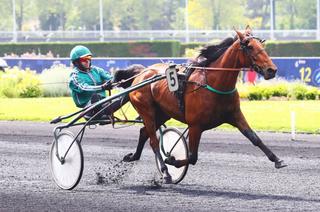 Quinté+ du vendredi 4 juillet : Analyse et décryptage de la course de réf