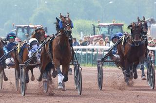 Grand Prix Fédération Régionale du Nord : Idao de Tillard vs Inexess Bleu, un duel de géants