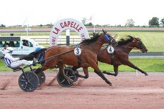 Grand Prix de la Fédération Régionale du Nord – Alexandre Abrivard, driver d’Inexess Bleu : "Il faut savoir avouer quand le meilleur gagne"