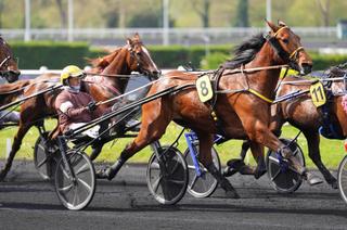 Vendredi à Vincennes : analyse et conseil de jeu du Prix Jean Riaud