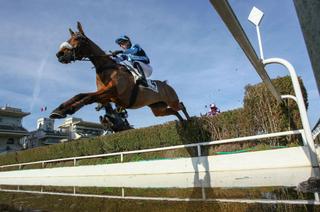 Quinté+ du dimanche 20 avril à Auteuil : Iradius a le profil pour devenir Président