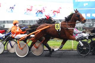 Ister Man, la base solide du Quinté+ de ce mercredi 8 avril à Lyon-Parilly (GNT)