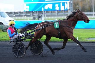 Quinté+ du mercredi 25 mars à Marseille-Borély (GNT) : Je Te Cherche, un favori tout indiqué