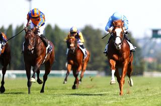 Dimanche à Deauville - Haras de Fresnay-Le Buffard - Prix Jean Prat : Thesecretadversary s'invite à la fête