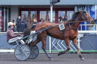 Quinté+ du vendredi 31 juillet à Cabourg : Joker Gema a une belle carte à jouer