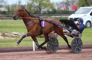 Arrivée et rapports du Quinté+ du mercredi 1er avril : Jolie Star s’impose en force dans le Grand Prix Angers Loire Métropole