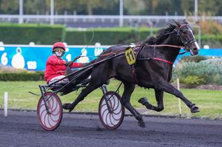 Quinté+ du mercredi 29 avril à Laval : Karnac Wood ne devrait pas être loin de la vérité