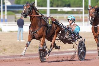 Katchi Quick, la base solide du Quinté+ de ce mercredi 14 octobre