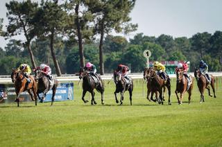 Quinté+ du jeudi 25 juin à La Teste-de-Buch : Analyse et décryptage de la course de réf