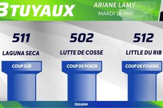 Les 3 tuyaux du Quinté+ de ce mardi 26 mai à Vincennes