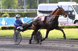 Samedi à Enghien : analyse et conseil de jeu du Prix de Tonnac-Villeneuve