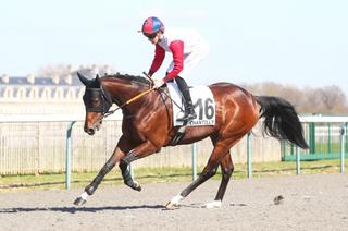 Track Test Quinté+ du mardi 19 mai à Chantilly : Memphis Tennessee, sur la bonne route
