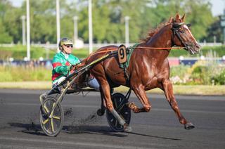 Prix Gaston Brunet - Criterium 4 Ans Q3 : analyse et conseil de jeu
