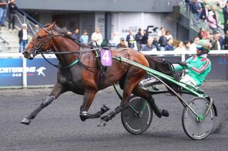 Dimanche à Vincennes – Prix de Troyes : Favori/Outsider