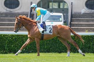Quinté+ du jeudi 10 septembre à ParisLongchamp : Alem, en quête d'un rachat