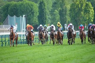 Le Quinté+ du jeudi 2 juillet vu par les statistiques